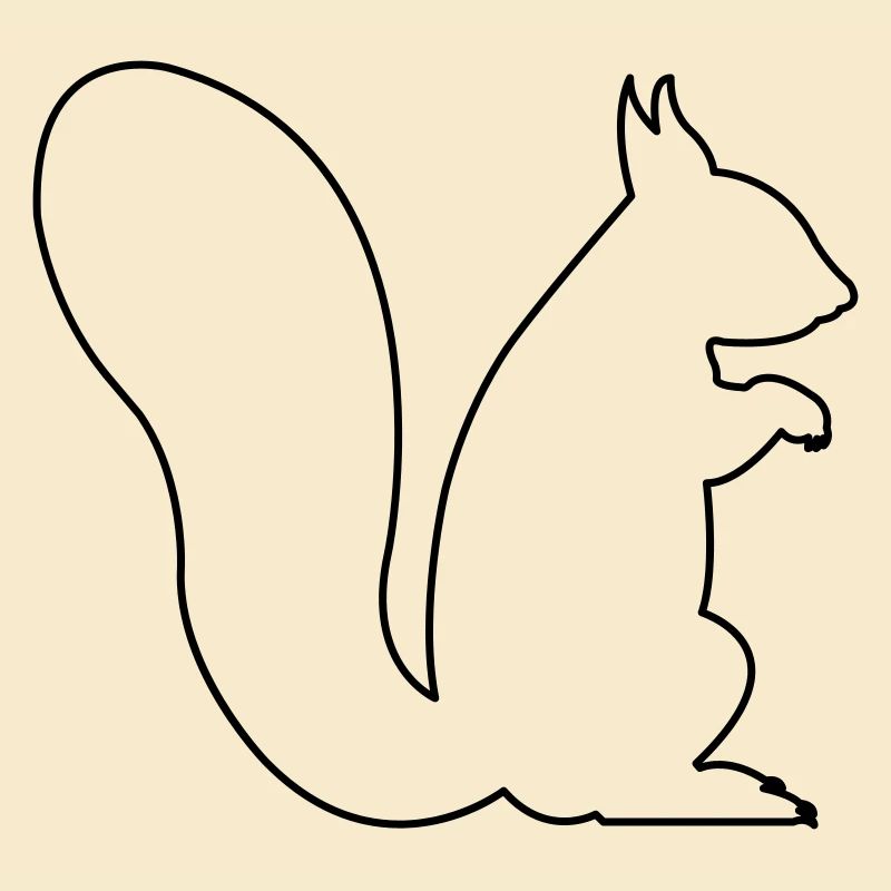 squirrel