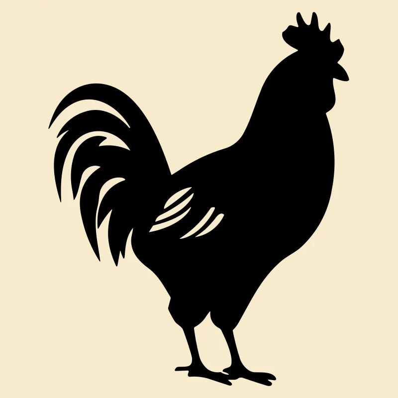 Poulet