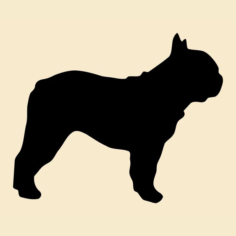 Profil de Bouledogue Français