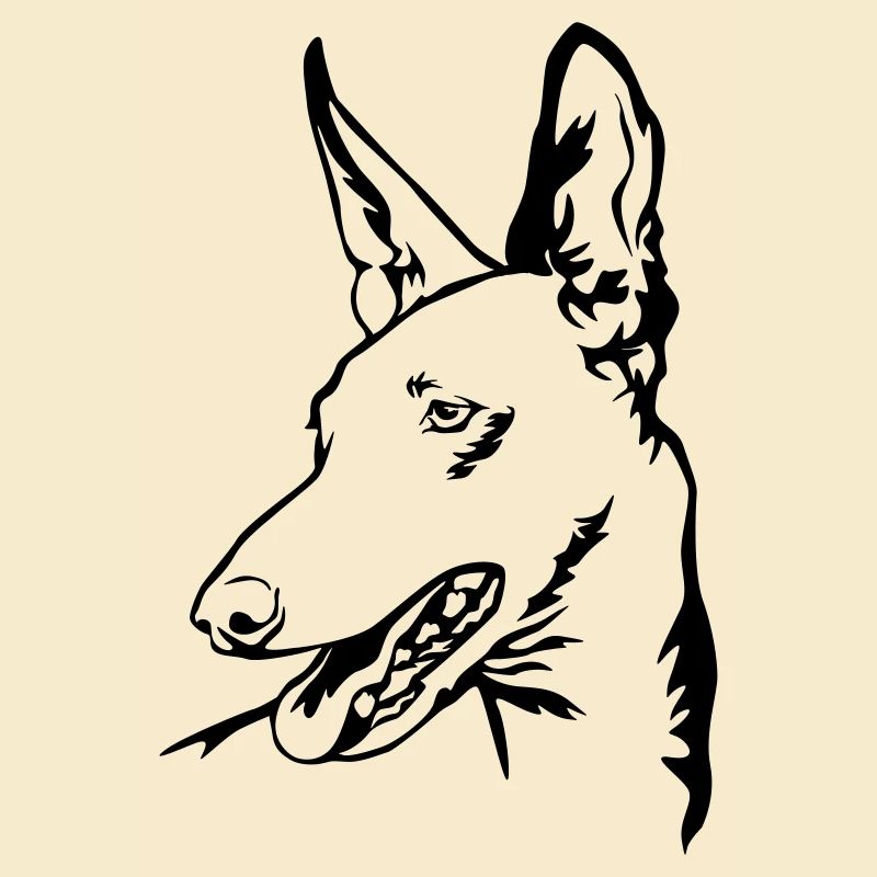 Tête Podenco