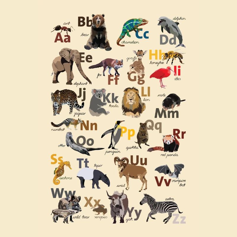 ABC poster englisch