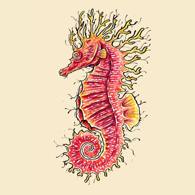 Hippocampe
