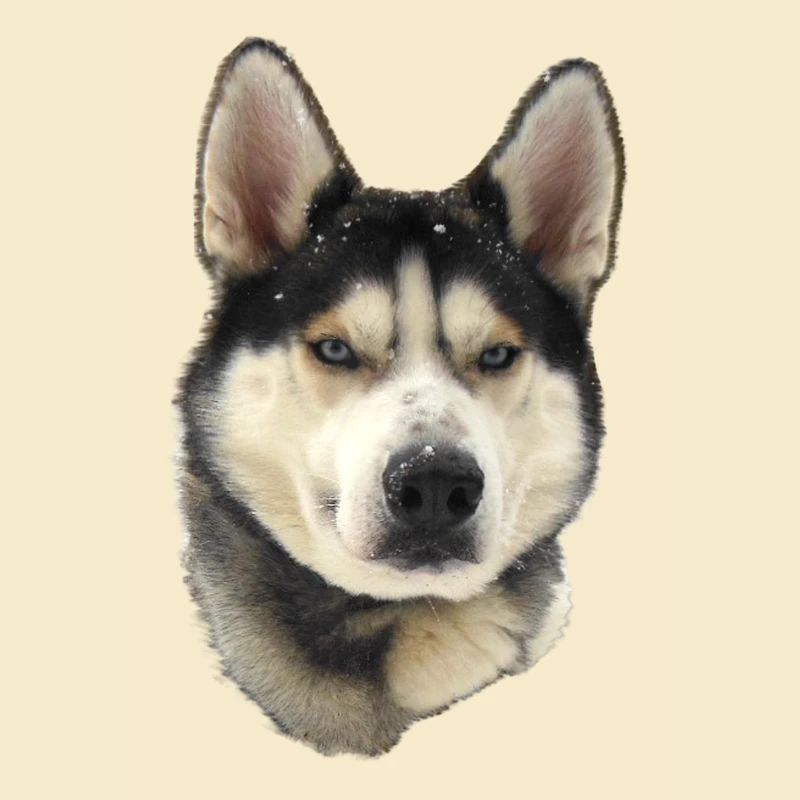Mignon Husky Chiot Flocons de neige Art