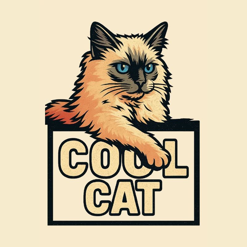 Chat cool