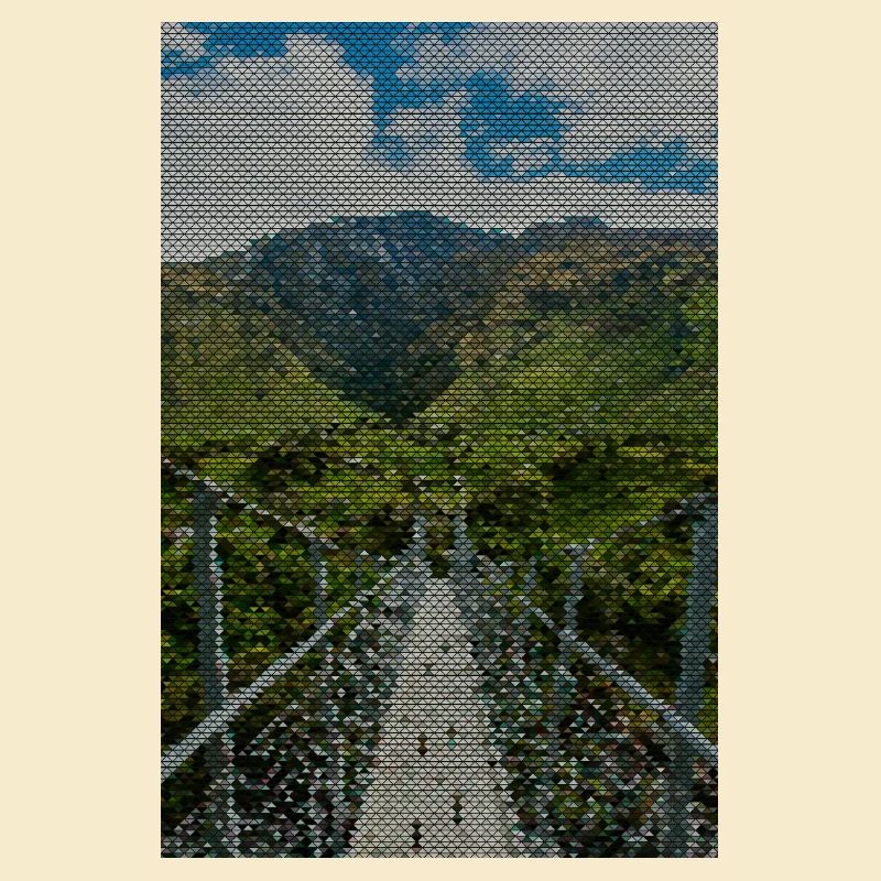 Grid path in the vineyard panorama