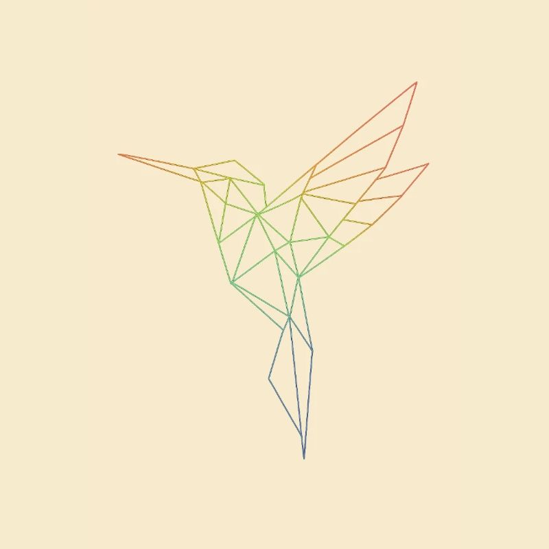 Geometric Rainbow Bird
