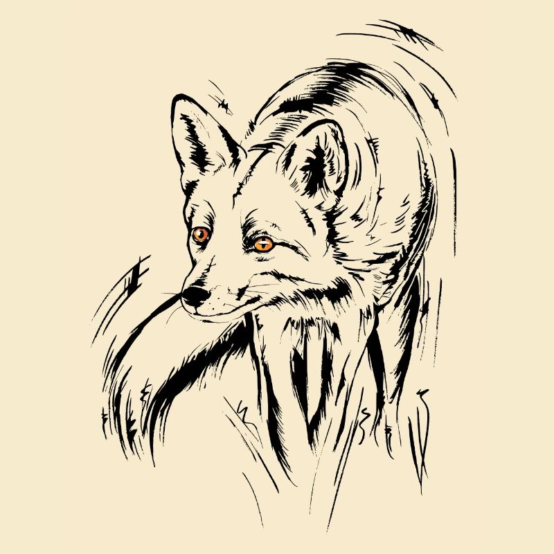 Fuchs, Rotfuchs