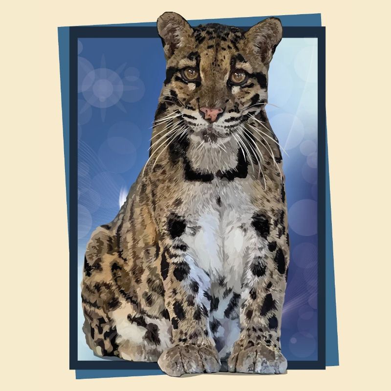 Clouded leopard