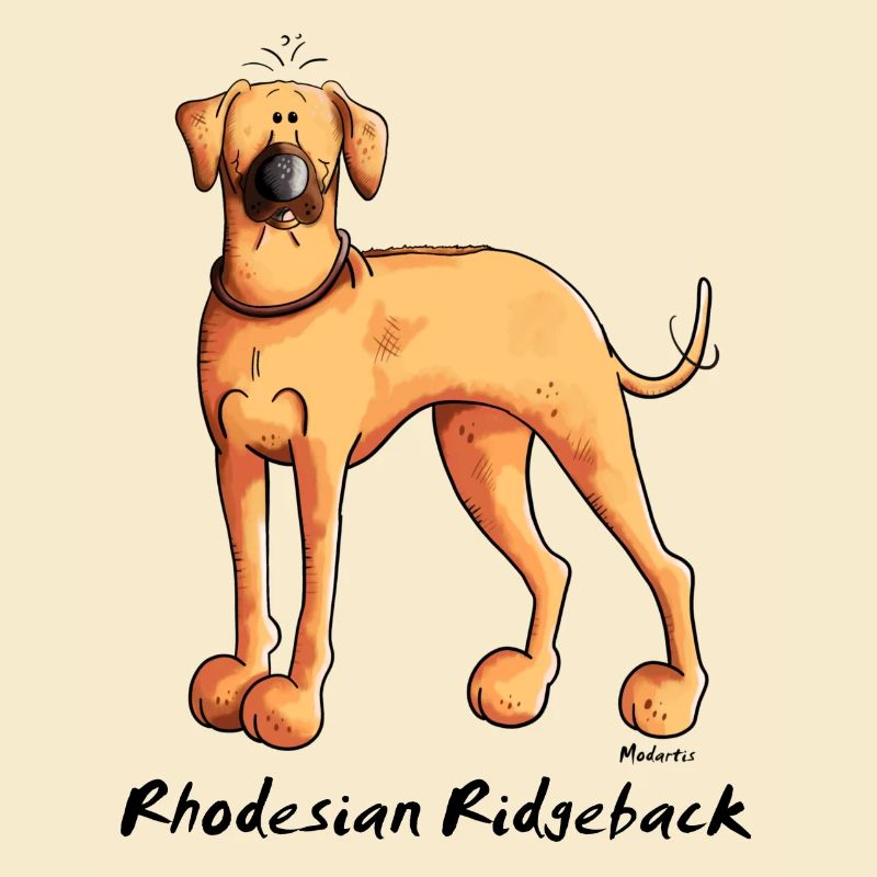Drôle Rhodesian Ridgeback