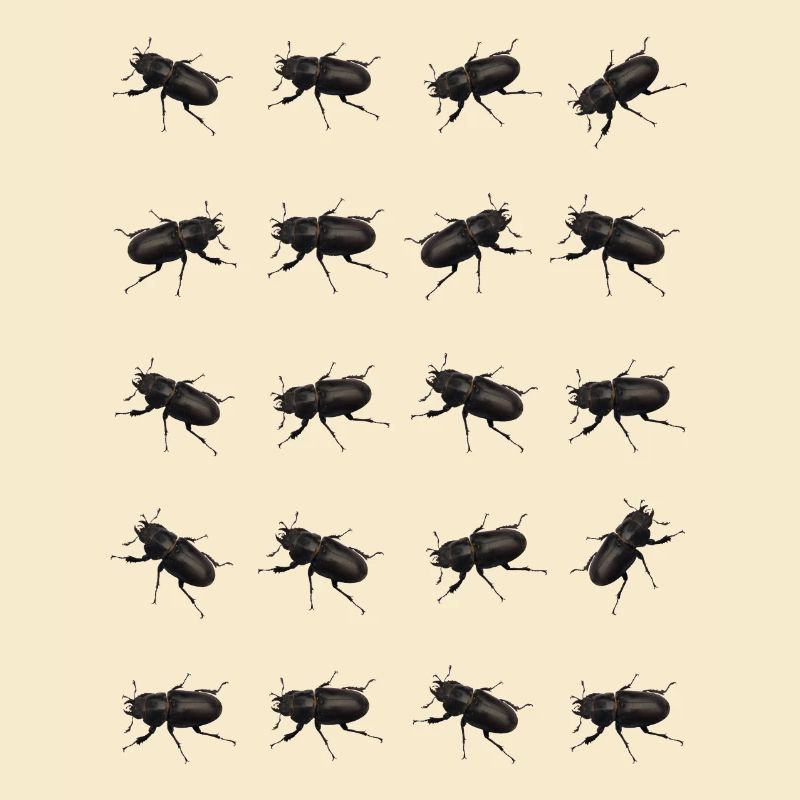 Stag Pattern