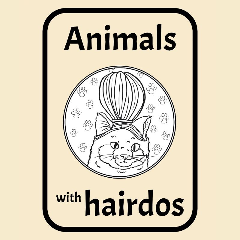Chat avec coiffure