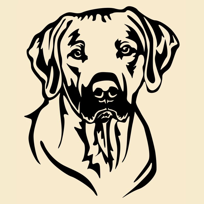 Rhodesian Ridgeback Head
