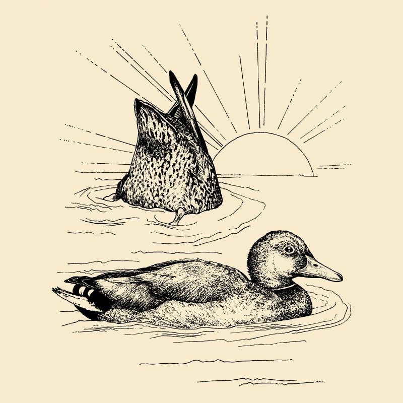 LES MALLARDS