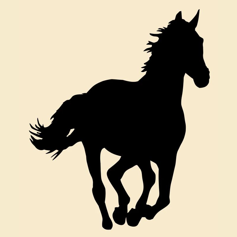 Ein Pferd.