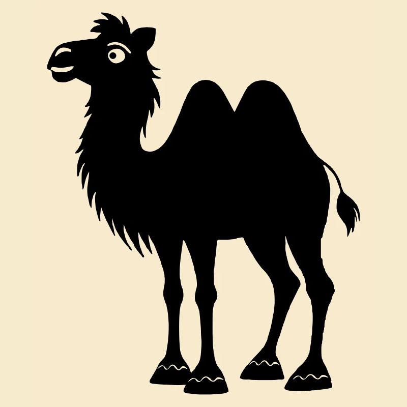 Schatten-Kamel