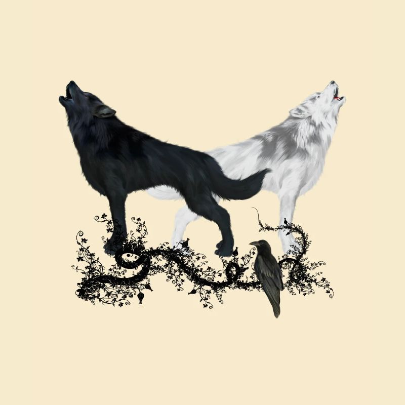 Stunning black and white wolf