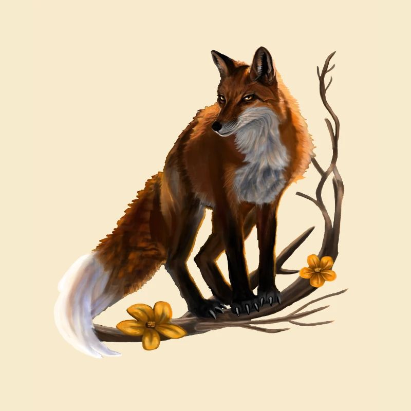 renard