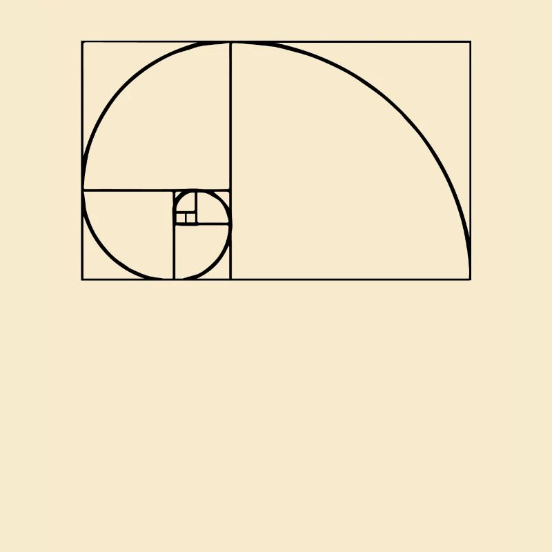 Fibonacci tshirt
