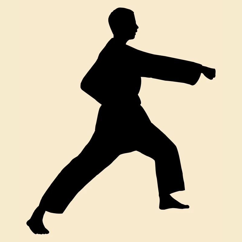 Punsch Karate oder Teakwondo Punsch