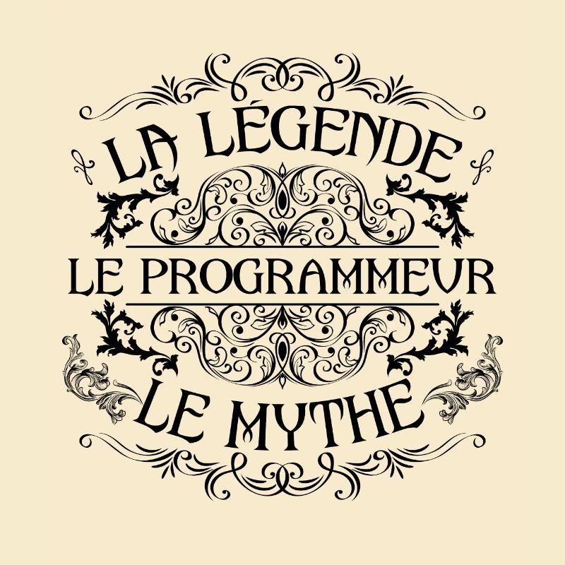 Programmeur | la légende Programmeur le mythe