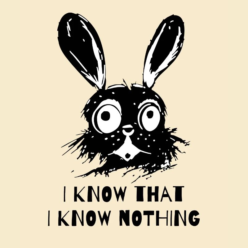 I know that I don't know anything - Wise Rabbit