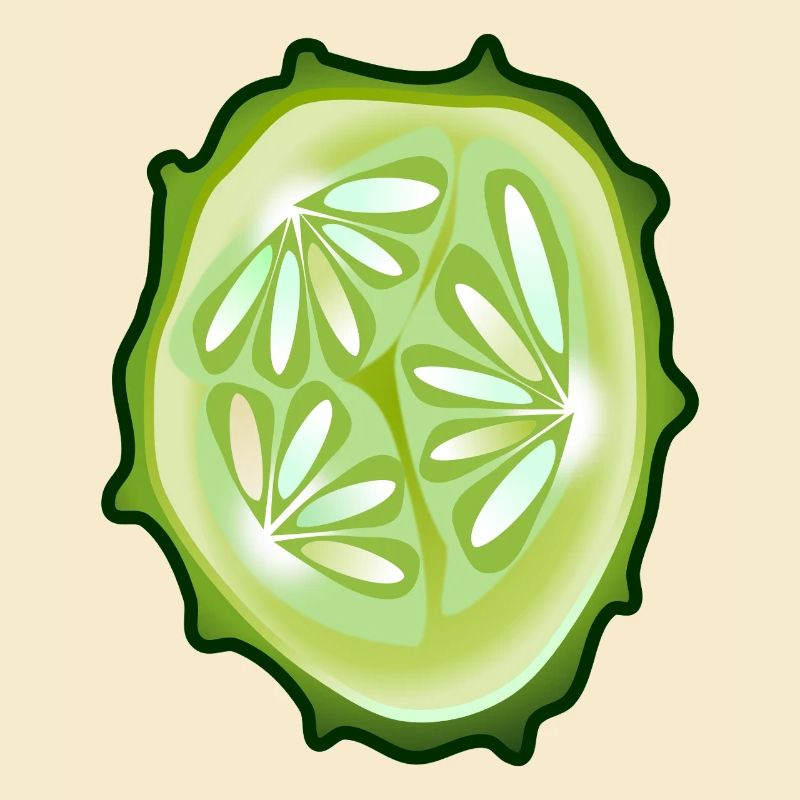 Cucumber