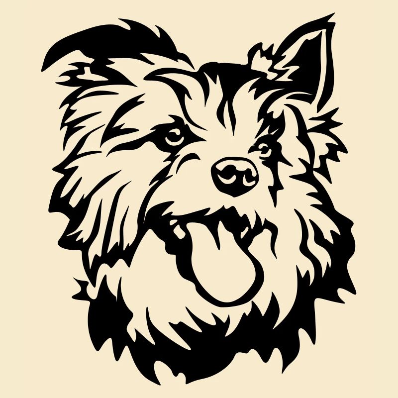 Tête de terrier australien