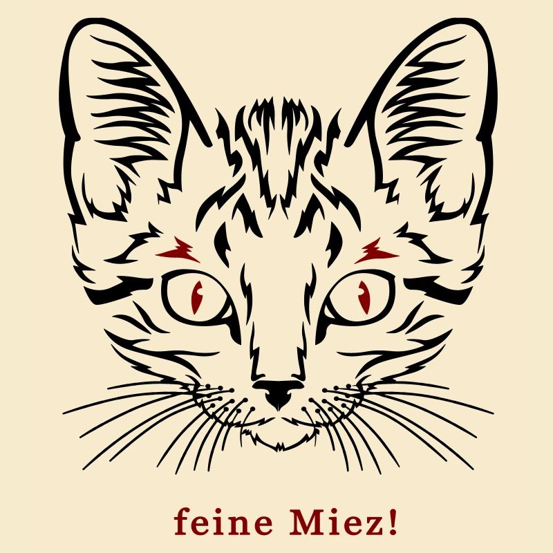 Cat, fine kitty