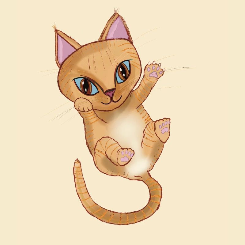 Chaton Orange mignon
