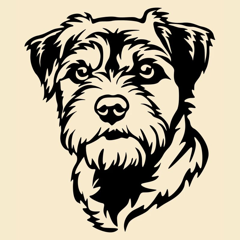 Border Terrier Kopf