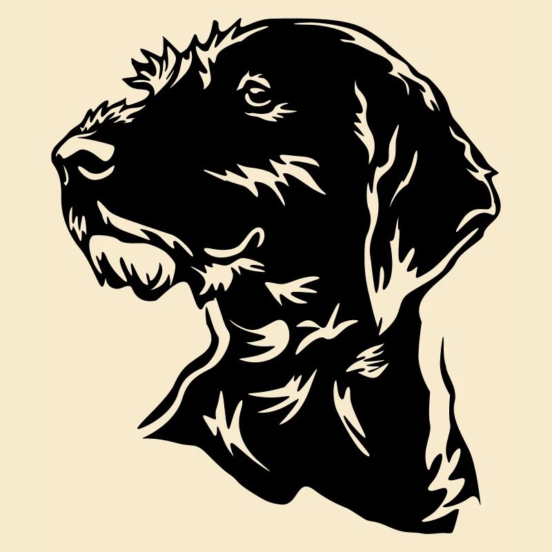 German Wirehaired Head