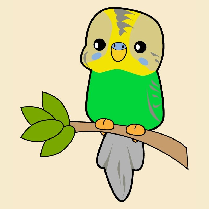 Budgerigar Parrot