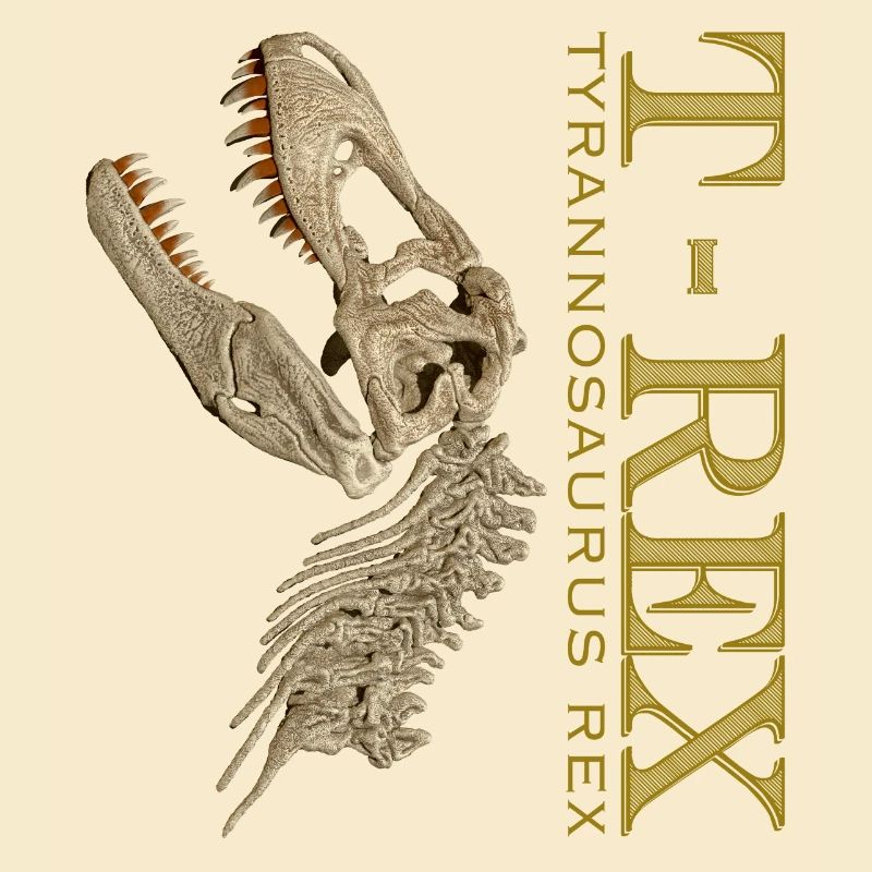 T-Rex Schädel bone