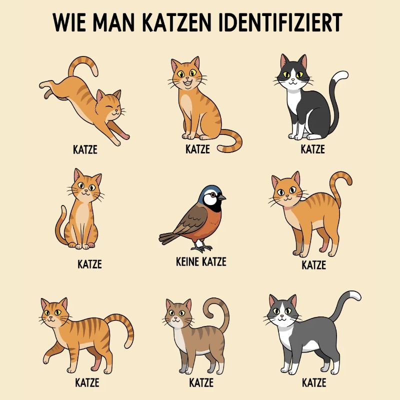 Guide d’identification des chats