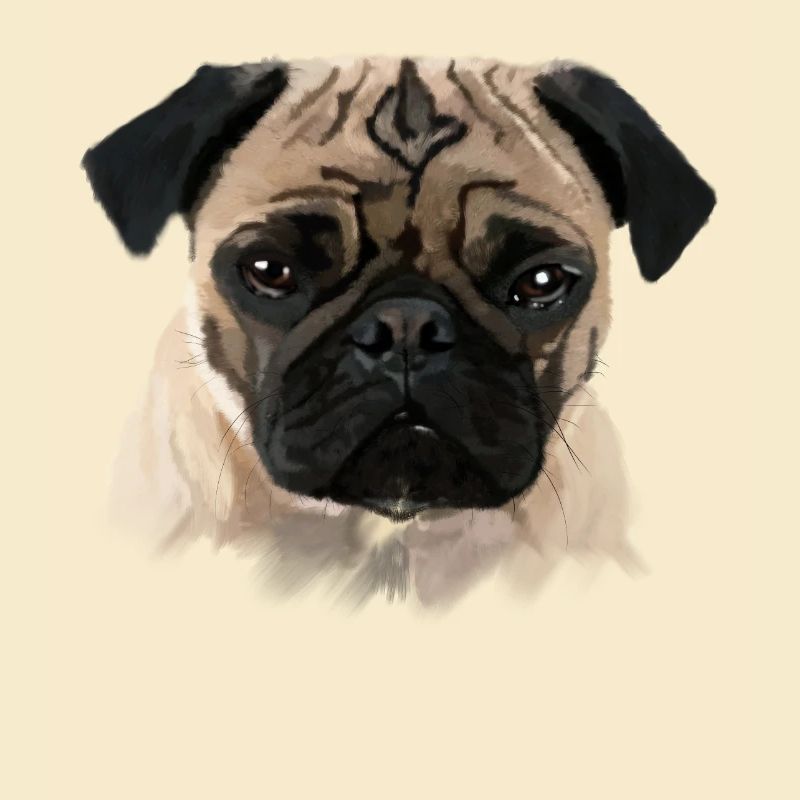 Mops