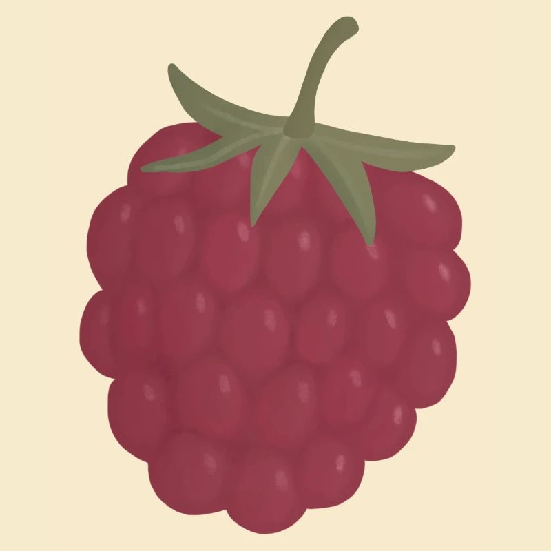red pink raspberry