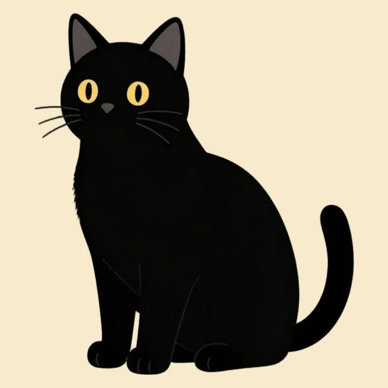 Chat noir chat noir