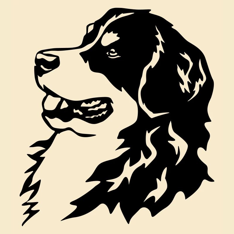 Bernese Mountain Dog head