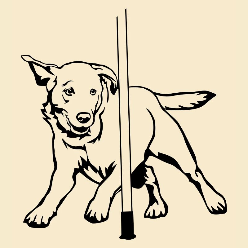 Labrador