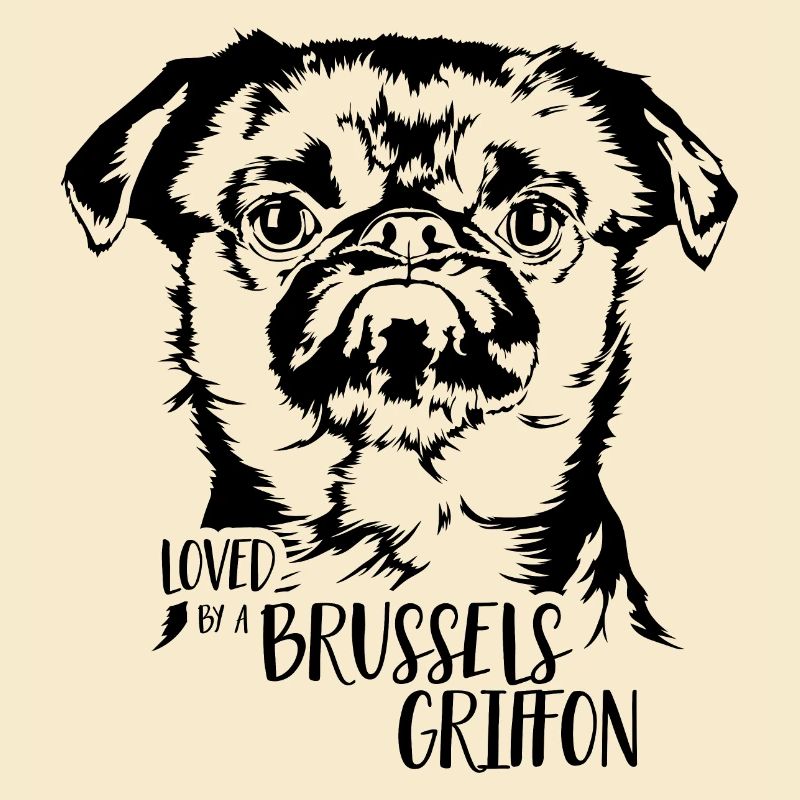 Loved by a Brussels Griffon Dogs Dwarf Griffon