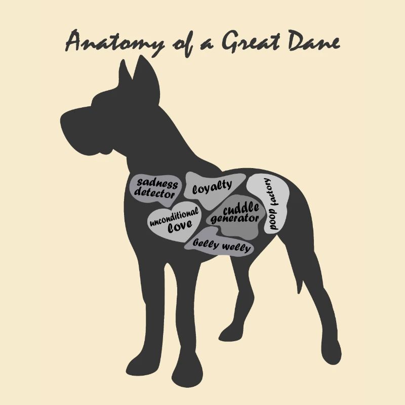 ANATOMIE EINER DEUTSCHEN DOGGE