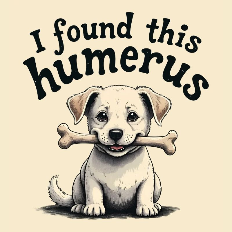 J’ai trouvé cet humérus