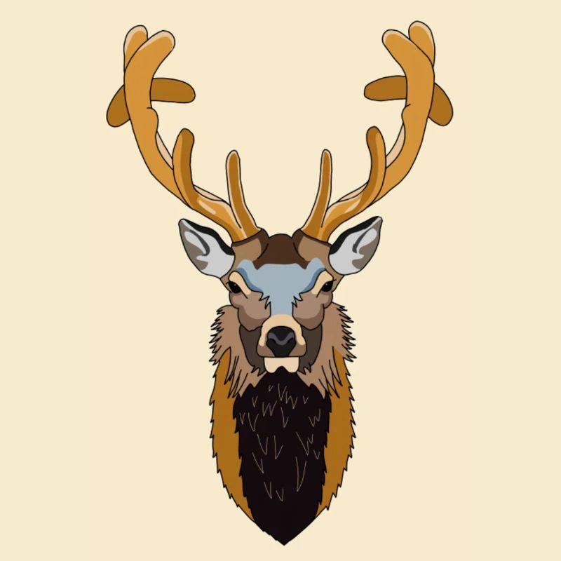 Hirsch