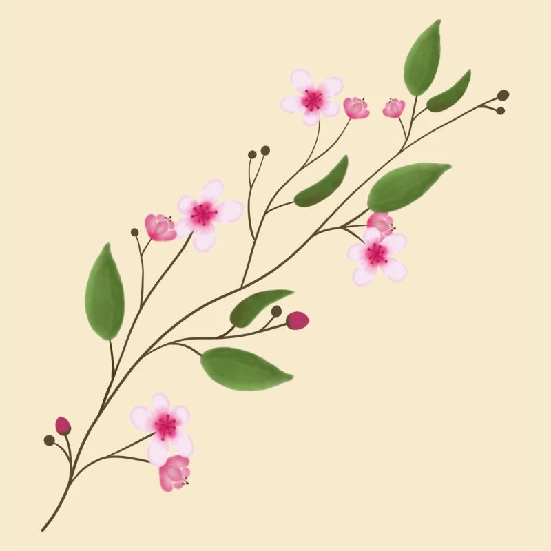 Fleur de cerisier