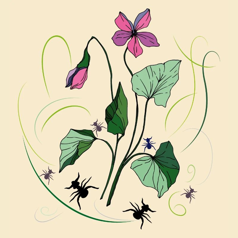 Flower with ants