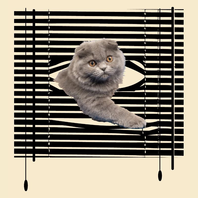 Meine Katze flieht