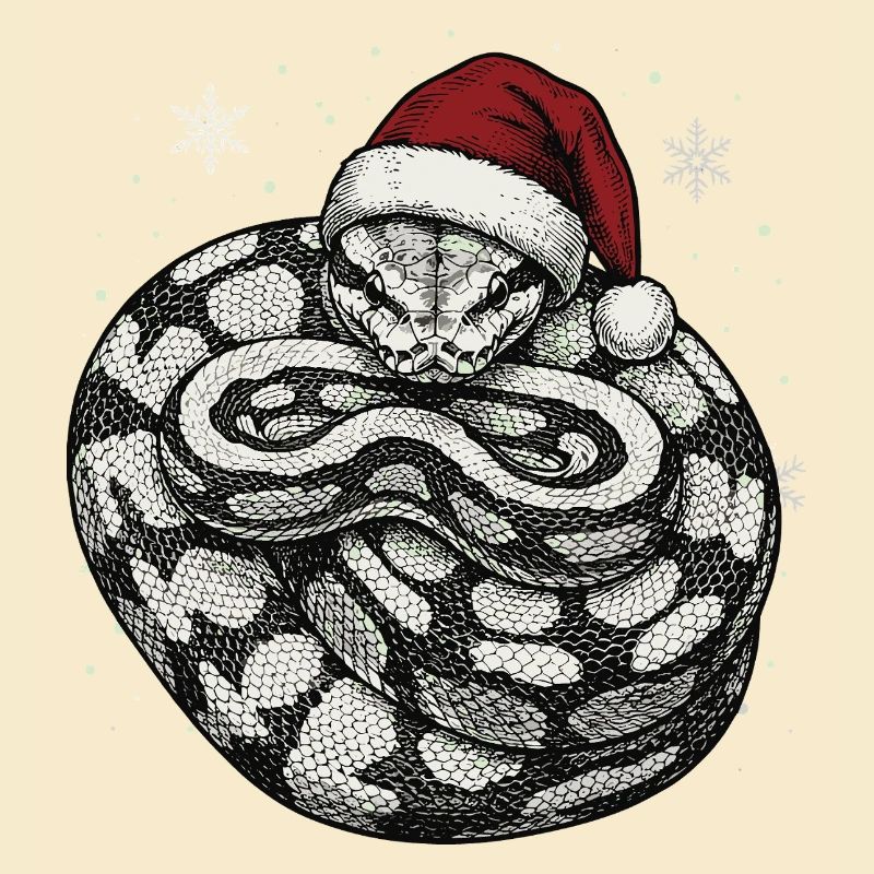 Königspython Weihnachten Ball Python Schlange