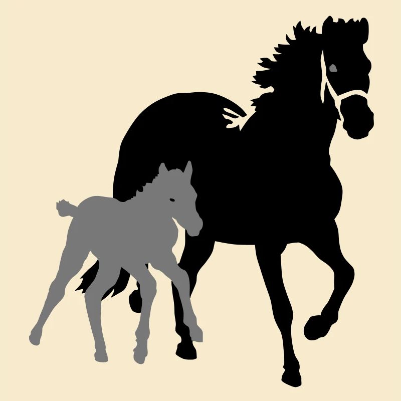pferde