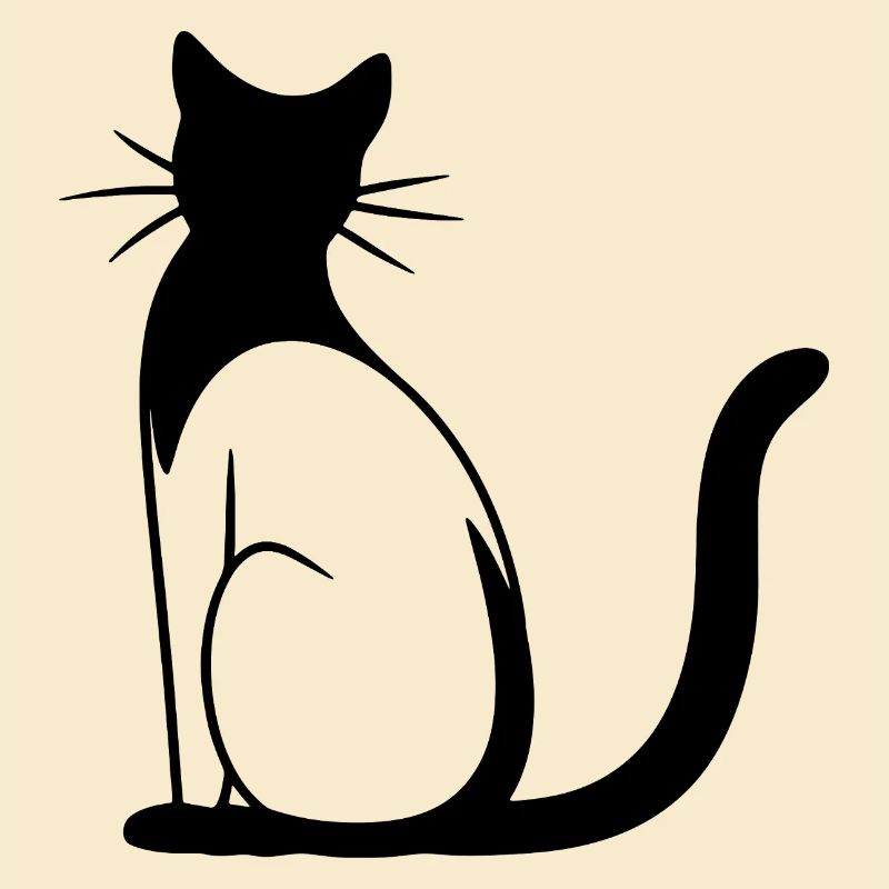 Cat Drawing