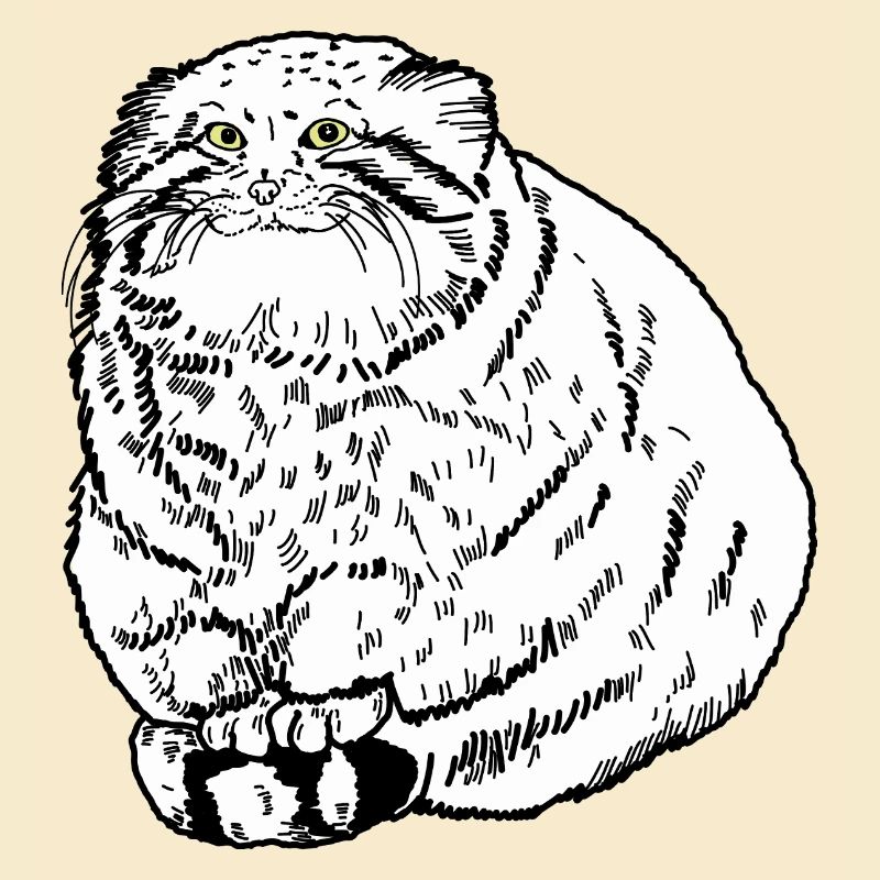 Fat Cat